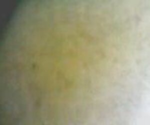 وسوف تجعلك الخيال تتحقق افلام سكس تركي مترجم عربي